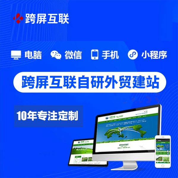 跨屏互联自研系统wordpress建站独立站搭建shopify官网模板定制多语言外贸网站建设 - 图片 2
